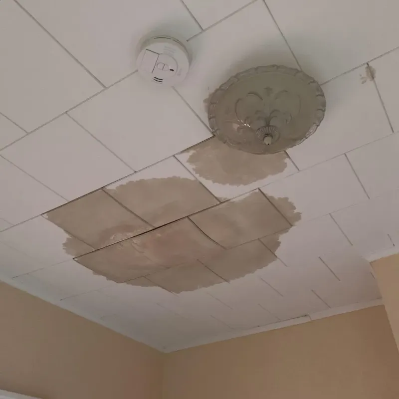 Ceiling Water Damage Repair in Walnut Cove, NC