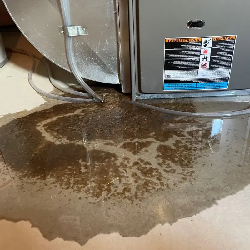 Pipe Burst and Leak Restoration in Walnut Cove, NC