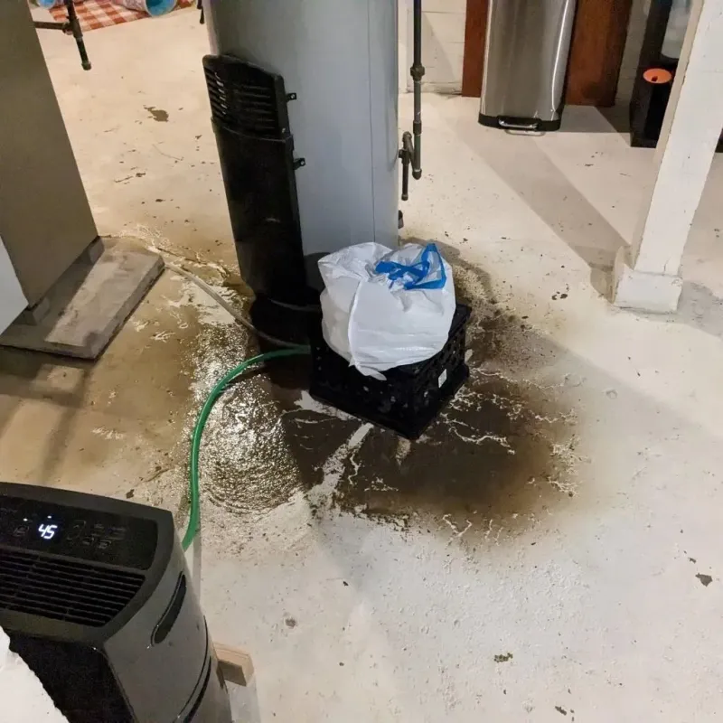 Sewage Backup Cleanup Service in Walnut Cove, NC